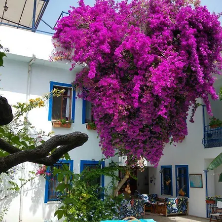 Dalyando ダルヤン