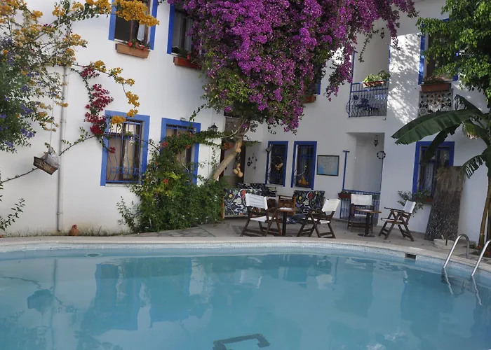 Apart-hotel Dalyando