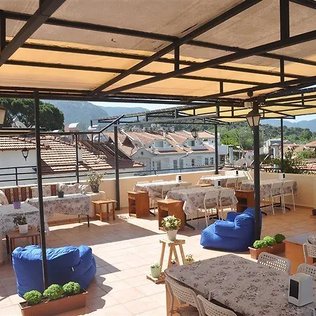 Dalyando 3* 达利安