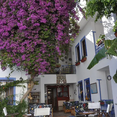 Dalyando 3* 达利安