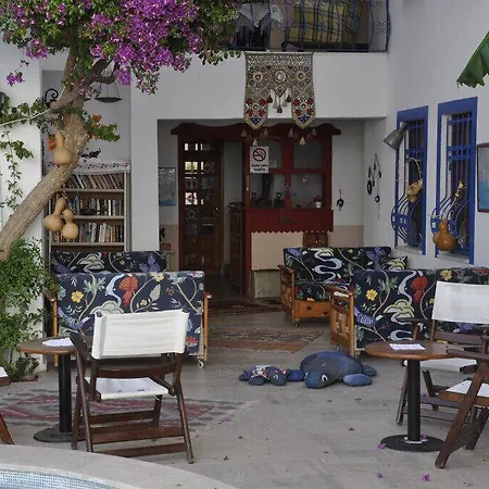 公寓式酒店 Dalyando